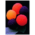 228d398e-9198-4d5d-b685-f183abd030d5