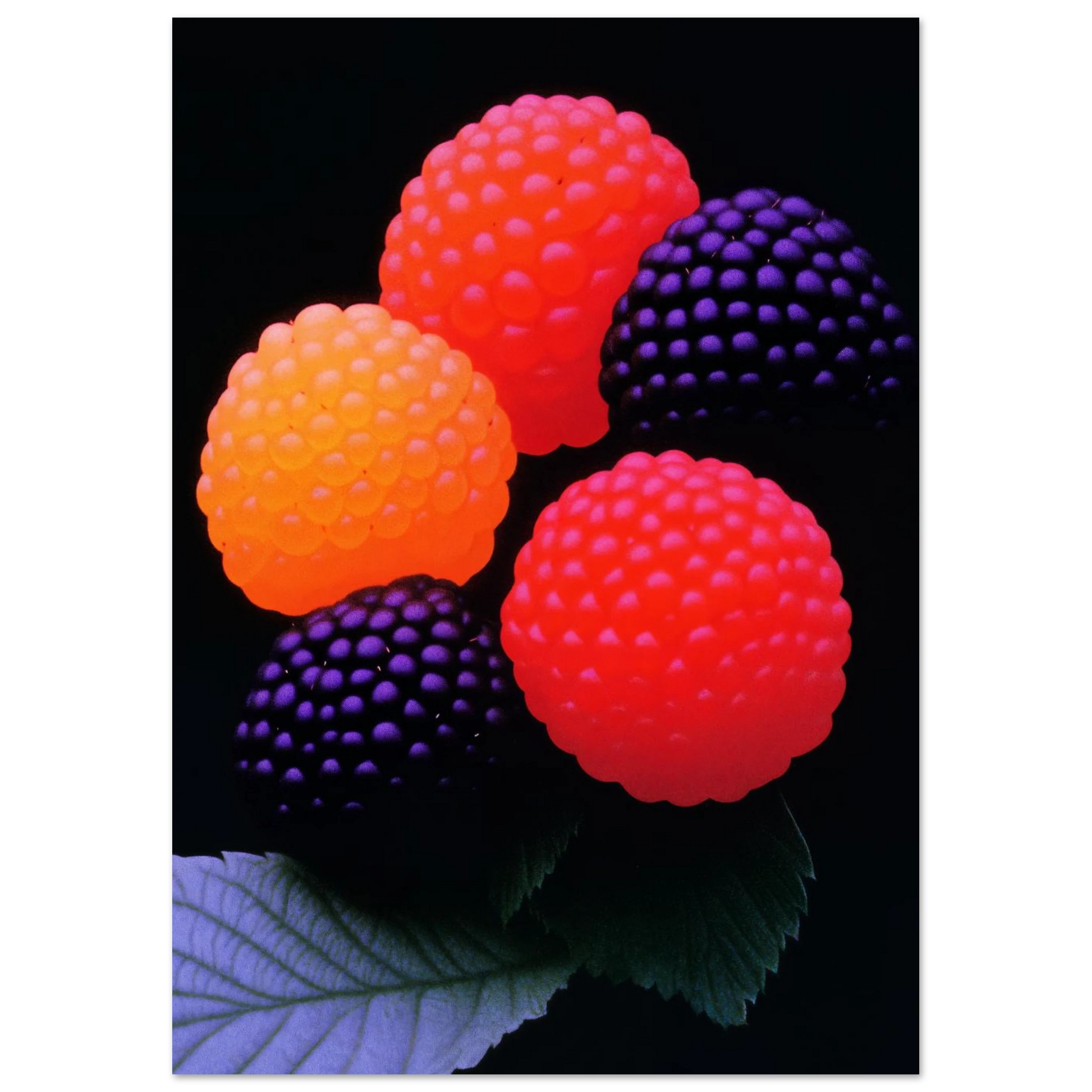 228d398e-9198-4d5d-b685-f183abd030d5