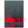 8662433c-90ca-4140-b295-4f34a36489cd