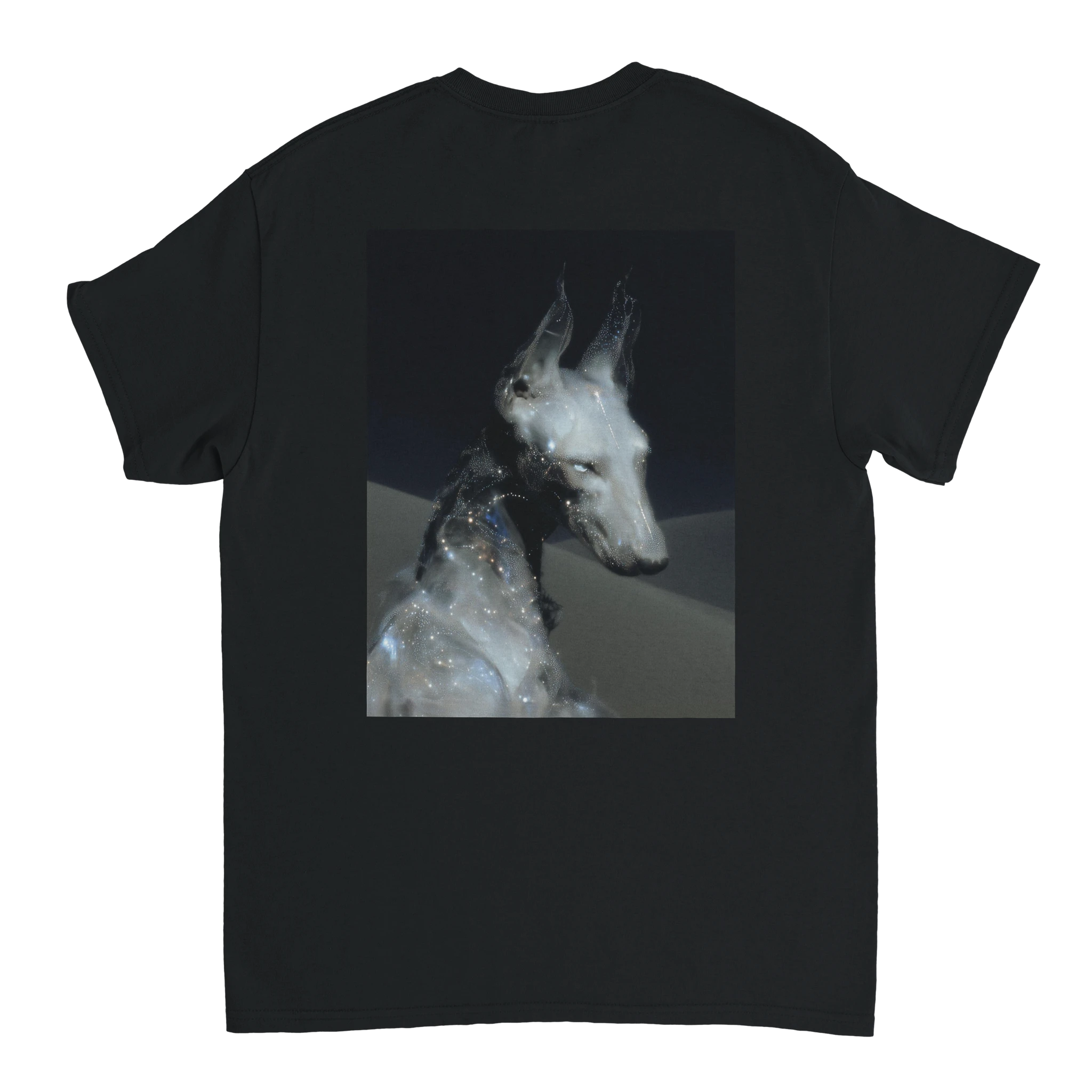 b2fadb44-63e4-40b8-8a55-6d1f0447b3f2